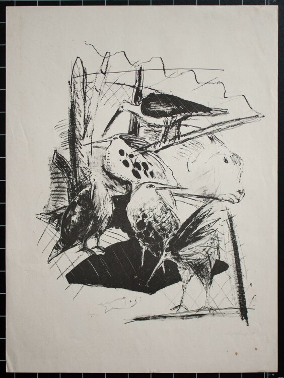 Linde Bischof - o. T. (Vögel) - Lithographie - 1974