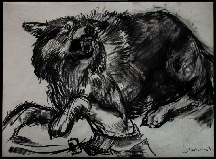Martin Stommel - Veränstigter Hund - Kohlezeichnung - 2010
