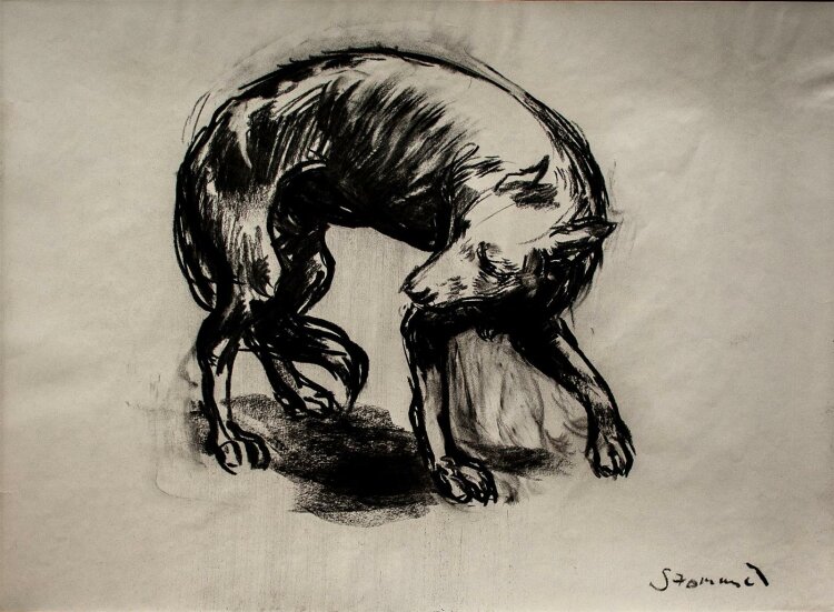 Martin Stommel - Wolf - Kohlezeichnung - 2004