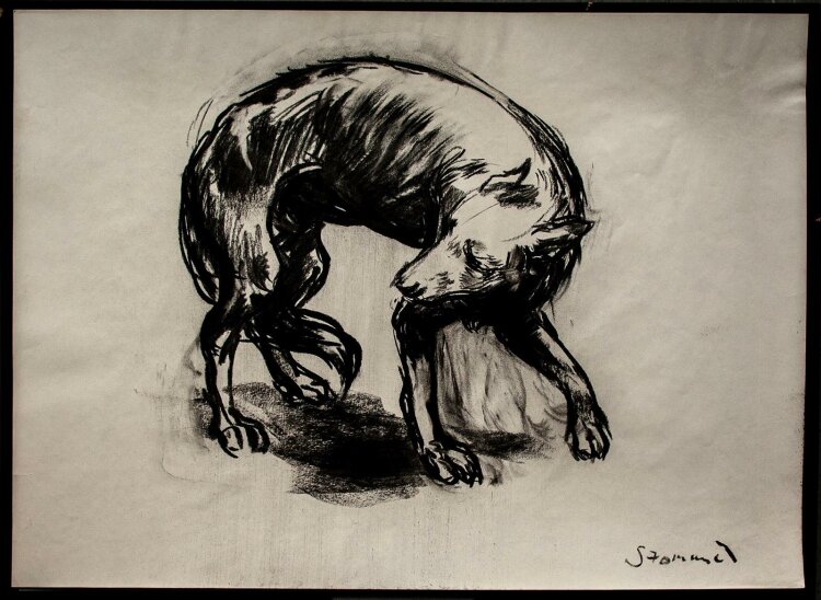 Martin Stommel - Wolf - Kohlezeichnung - 2004