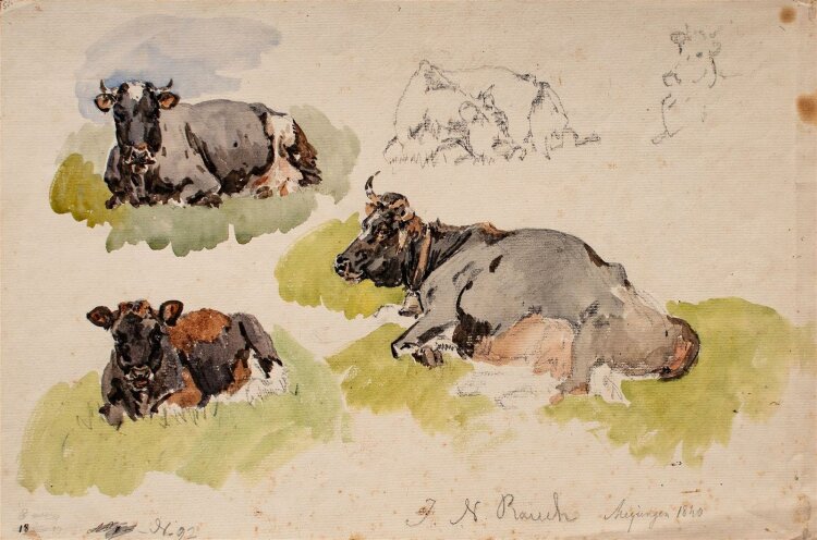 Johann Nepomuk Rauch - Skizze liegende Kühe - Aquarell - 1840