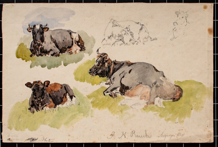 Johann Nepomuk Rauch - Skizze liegende Kühe - Aquarell - 1840