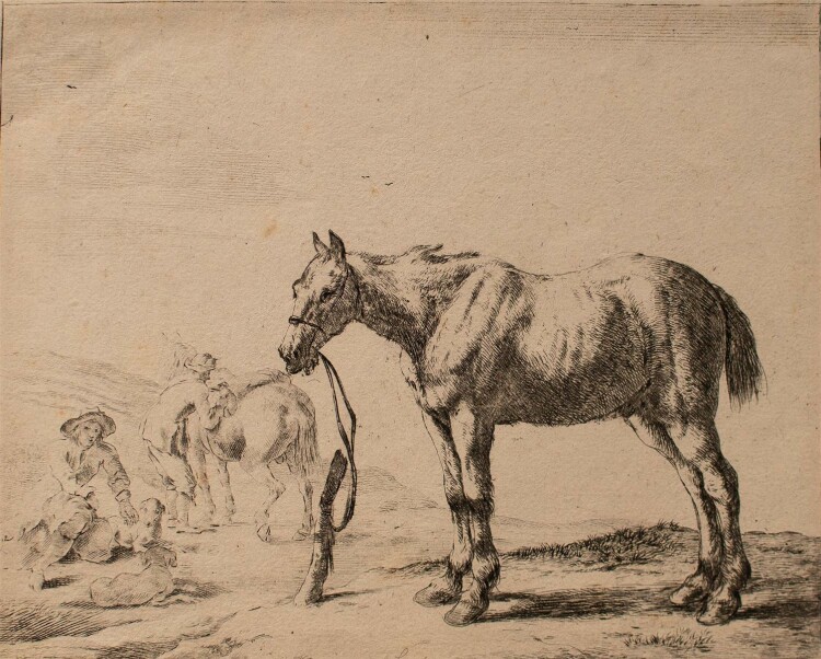 Dirk van der Stoop - Pferde - zwei Kupferstiche - o. J.