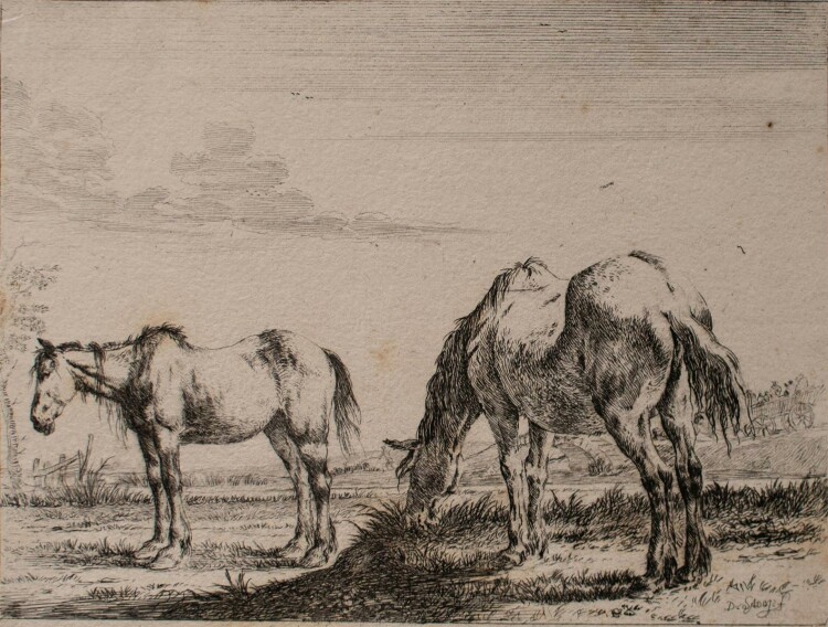 Dirk van der Stoop - Pferde - zwei Kupferstiche - o. J.