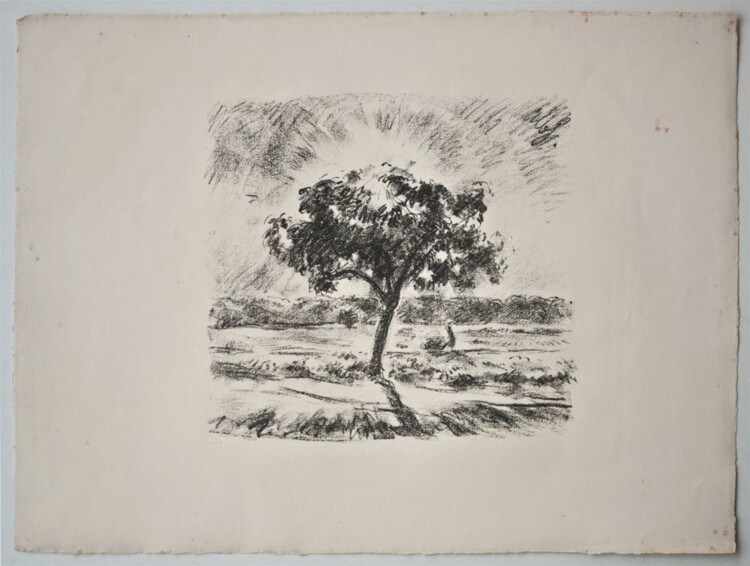Albert Haueisen - o. T. (Landschaft mit Baum) - Lithographie - o. J.