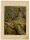 Emil Hochdanz - Leguane - 1867 - kolorierte Lithografie