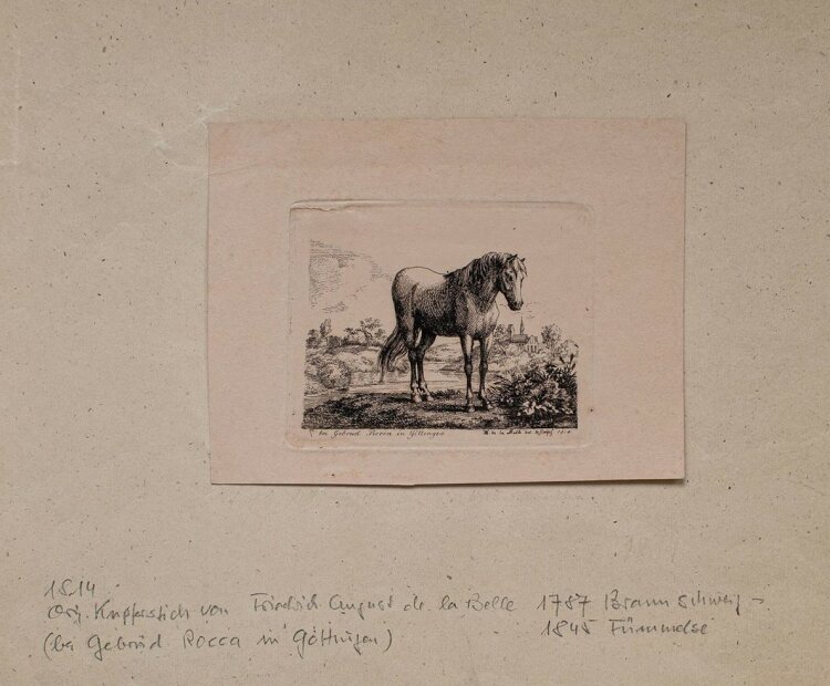 Friedrich de la Belle - Pferd - Radierung - 1814