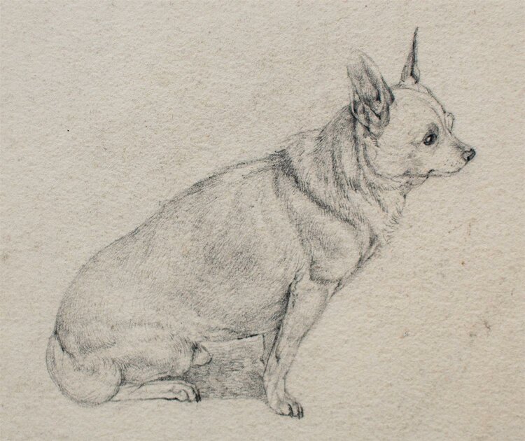 Unbekannter Künstler - Hund - Bleistiftzeichnung - um 1800