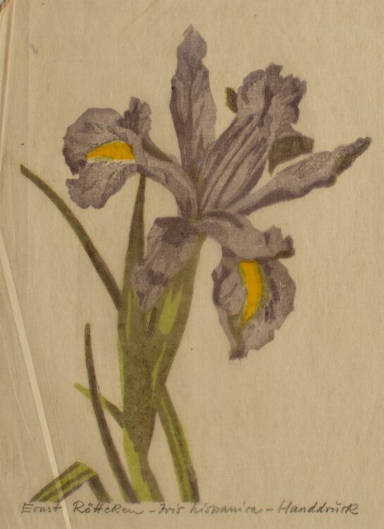 Ernst Rötteken - Iris Hispanica - Farblinolschnitt - o. J.