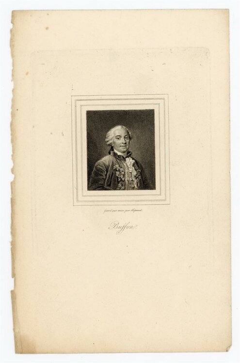 unbekannt - Portrait Georges-Louis Leclerc de Buffon -...