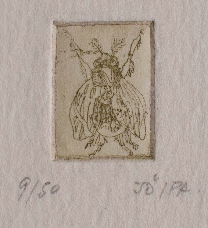 unleserlich signiert (Jös Pa(..?)) - Fliege - kolorierter Kupferstich - o. J.