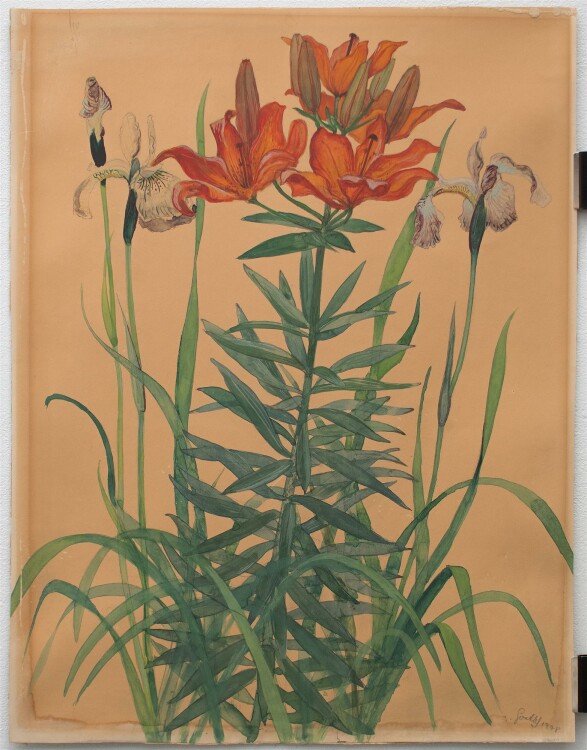 Hans Goetsch - Kaiserkronen/ Blumenstudie - Aquarell - 1948