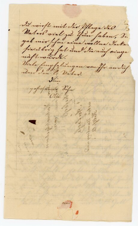 Otto von und zu Aufsess - Brief an Charlotte von und zu Aufsess - 4.6.1836