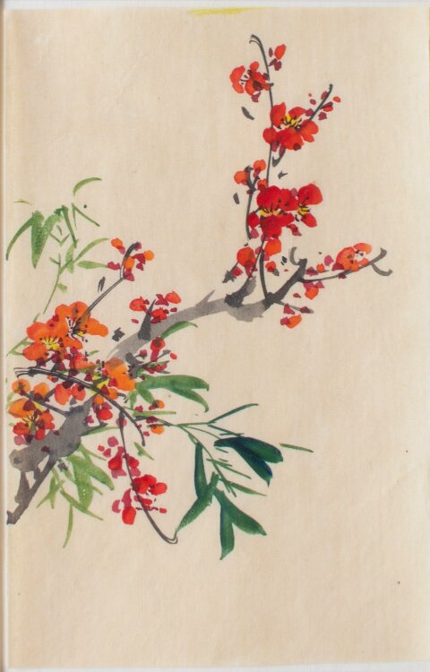 Unbekannt - Asiatisches Blumenmotiv (rot und orange) - Aquarell - o.J.