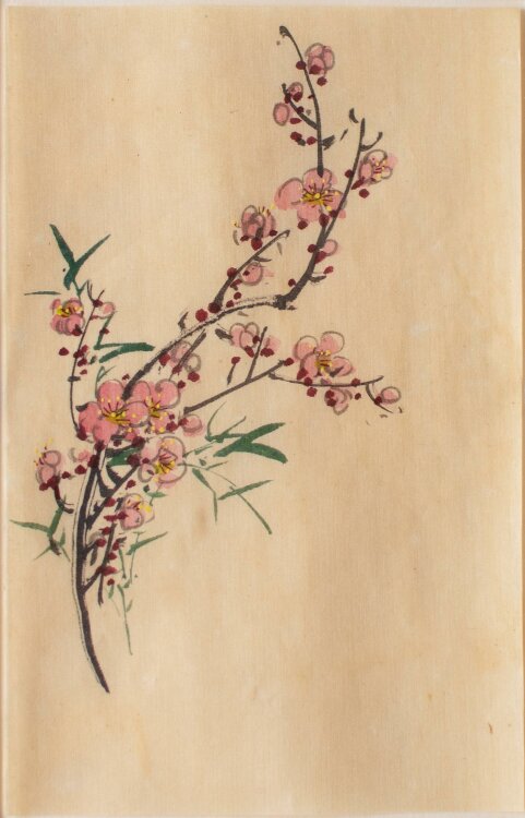 Unbekannt - Sakura (Kirschblüte) - Aquarell - o.J.