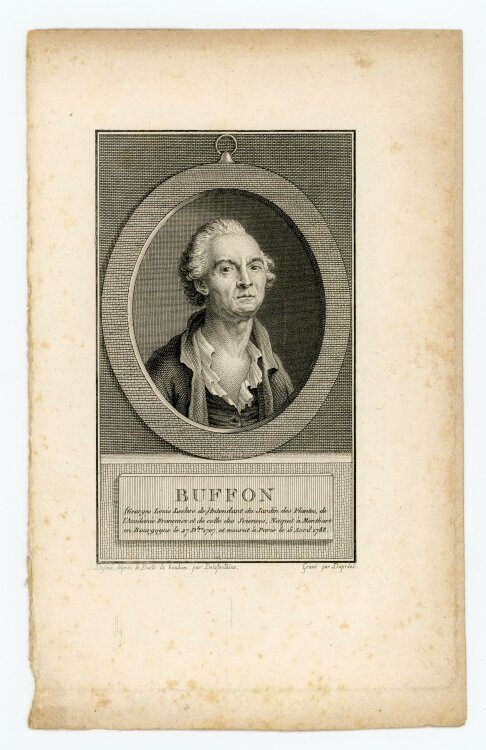 Jean-Baptiste-Michel Dupréel - Buffon - Kupferstich - o.J.