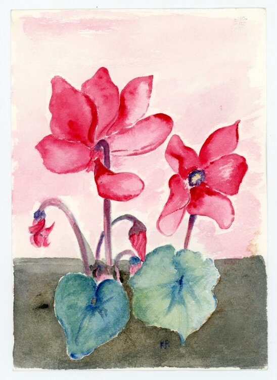 unbekannt - Blume - Aquarell - o.J.