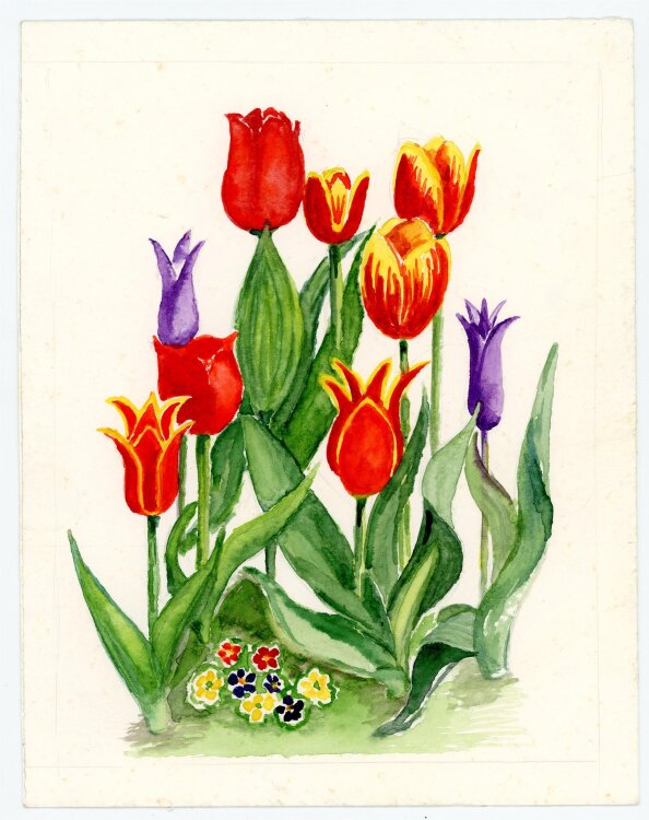 unbekannt - Tulpen - Aquarell - o.J.