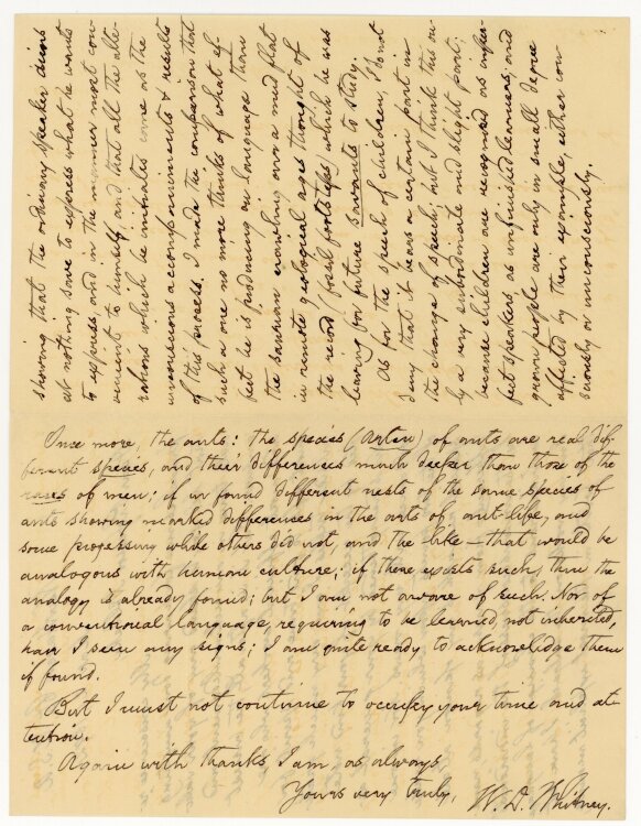 William Dwight Whitney Brief an Theodor Nöldeke - 21.3.1892