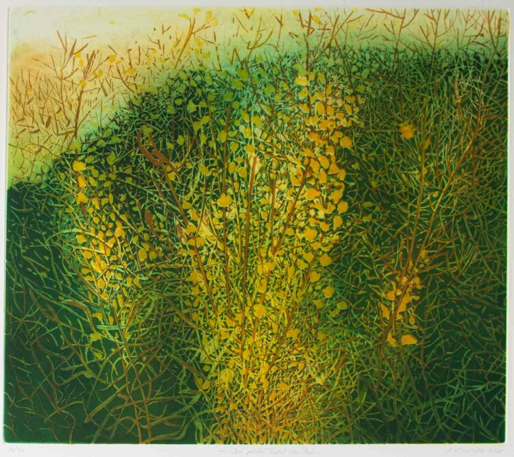 Helga Haas Wirth - Im gelben Feld von (Insel) Poel - Farbradierung - 2001