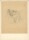 Unbekannt - Faltenwurf (Studienzeichnung) - Bleistiftzeichnung - um 1840