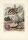 Unbekannt - Conchylien - Farblithografie - 1858