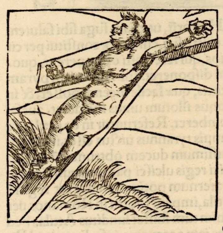 Unbekannt - Gekreuzigter - aus: Sebastian Münster Cosmographia - Holzschnitt - o.J.