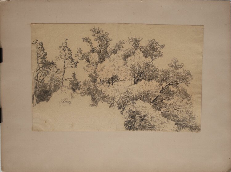 Unbekannt - Baumlandschaft Studie - Bleistift - um 1860