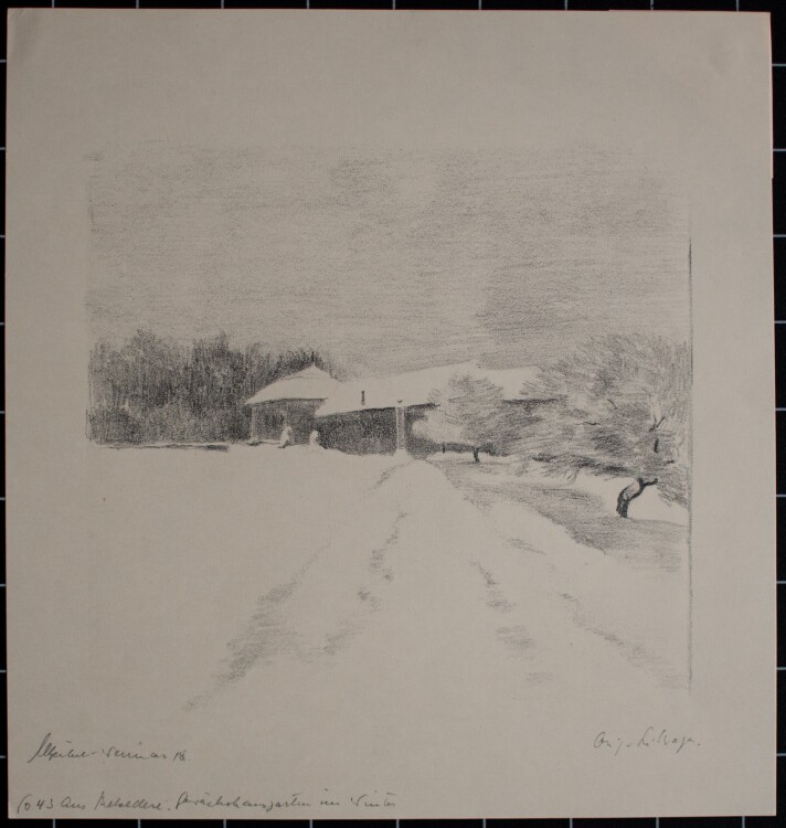 Margarethe Geibel - Aus Belvedere: Gewächshausgarten im Winter - 1918 - Lithografie