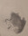 Signiert H. S. - Zwei Porträts eines älteren Mannes mit Pfeiffe und Brille - 1886 - Tusche/Aquarell