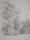 Unbekannt - Ein großer Baum - o.J. - Bleistift/Aquarell