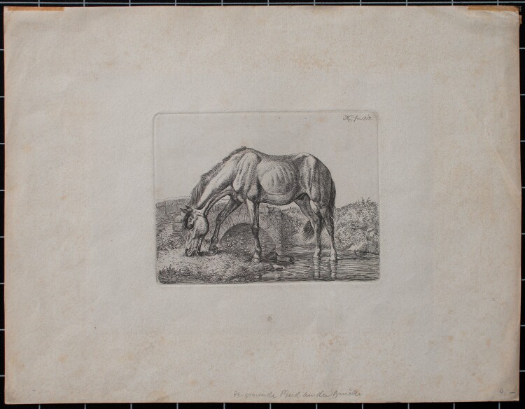 - Grasendes Pferd am Fluß - 1818 - Kupferstich