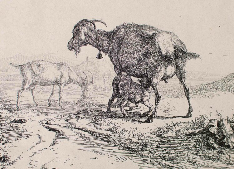 Monogrammist TN" - Ziegen in Landschaft - 1829 -...