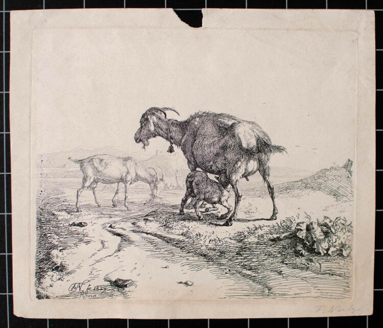 Monogrammist TN" - Ziegen in Landschaft - 1829 - Radierung"