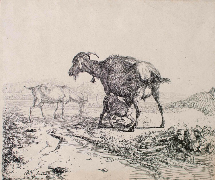 Monogrammist TN" - Ziegen in Landschaft - 1829 - Radierung"