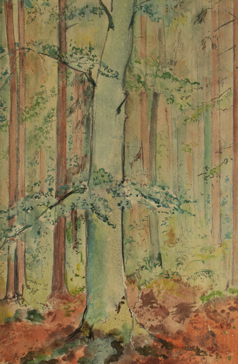 Gerhard Schulte-Dahling - Blick in einen Wald - o.J. - Aquarell