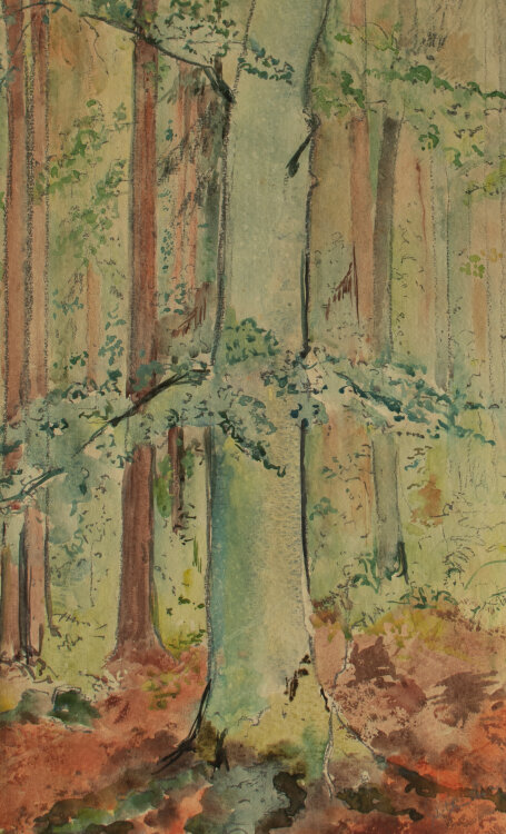 Gerhard Schulte-Dahling - Blick in einen Wald - o.J. - Aquarell