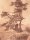 unbekannt - Dunkle Figur unter einem Baum - Anfang 1900 - Radierung