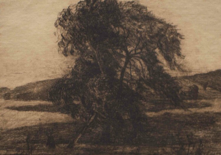 Georg Klapper - Flußlandschaft mit Baum - Anfang 1900 - Radierung