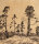 Artur Henne - Baumlandschaft - Anfang 1900 - Radierung
