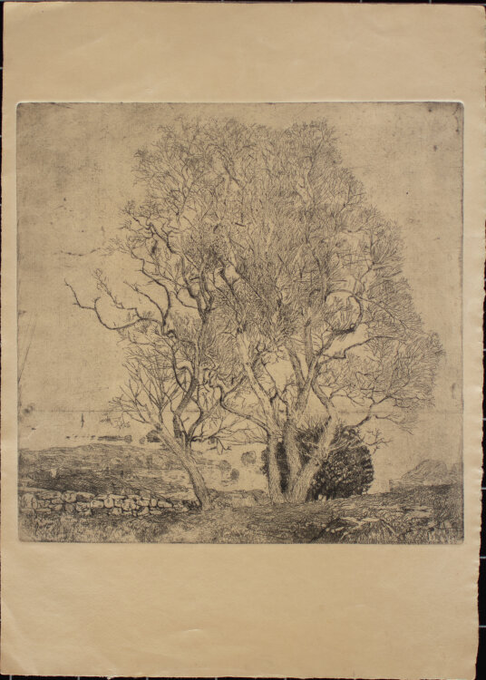 Artur Bär - Meereslandschaft mit Bäume - Anfang 1900 - Radierung
