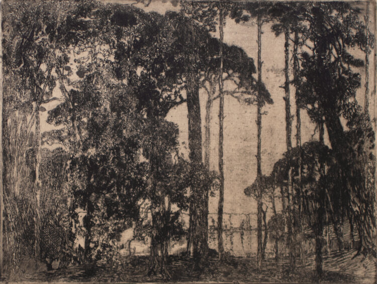 Artur Bär - Baumlandschaft am See - Anfang 1900 - Radierung