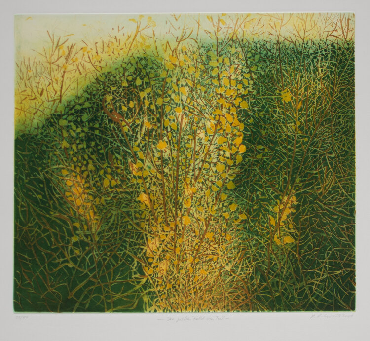 Helga Wirth - Im gelben Feld von Poel - 2001 - Farbradierung