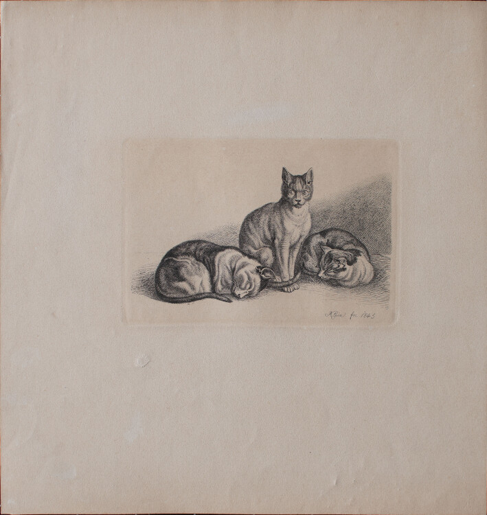 Johann Adam Klein - Katzen - 1845 - Kupferstich