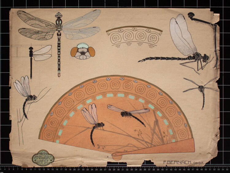 F. Bernack - Entwurf für einen Fächer mit Libellen - 1907 - kolorierte Tuschezeichnung