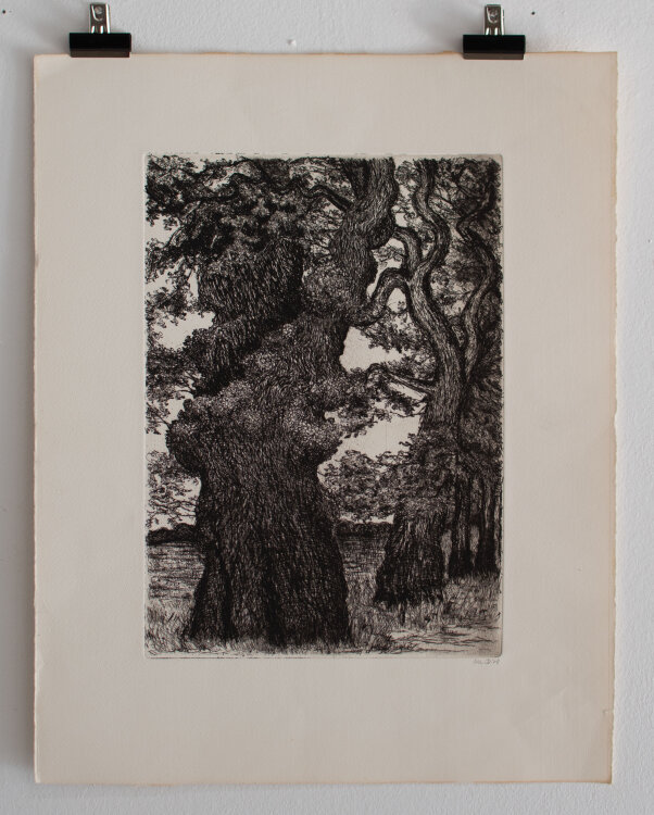 Monogrammiert M.D. - Baum in einer Allee - 1978 - Radierung
