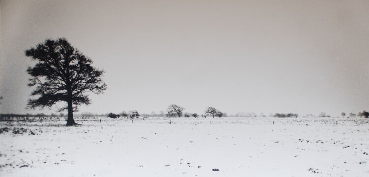 Unbekannt - Weite Schneelandschaft mit Baum - o.J. - Fotografie