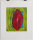 Willibrord Haas - Mandala - 2000 - Farbradierung