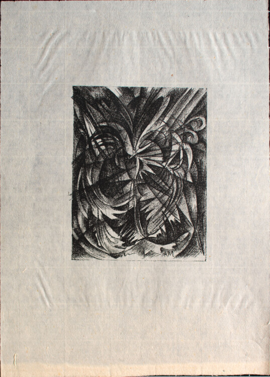 Monogrammist K.M - Pflanzen - o.J. - Lithografie