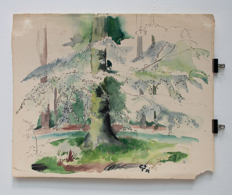 Gerhard Schulte-Dahling - Ein Baum im Wald - 1951 - Aquarell